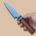 Damascus Steel Japanese Paring Knife with Sheath