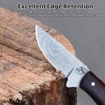 Japanese Damascus Steel Cowboy Dandy Knife