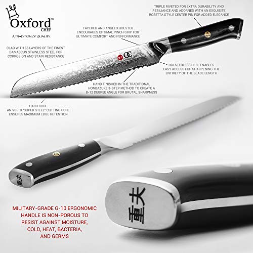 Japanese VG10 Damascus Bread Knife: 8" Serrated, High-Carbon
