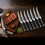 Seido Shujin 8-Piece Steak Knife Set