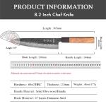 8.2" Japanese Chef Knife - 67 Layer Damascus Steel