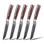 Seido 5-Piece Serrated Steak Knives Set