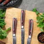 Seido 5-Piece Serrated Steak Knives Set
