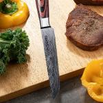 Seido 5-Piece Serrated Steak Knives Set