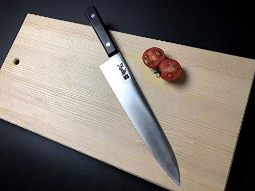 ARITSUGU Gyuto Japanese Chef's Knife 240mm Carbon Steel