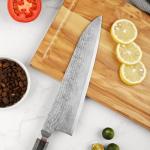 Seido Katsuryoku Gyuto Chef Knife - Damascus Steel