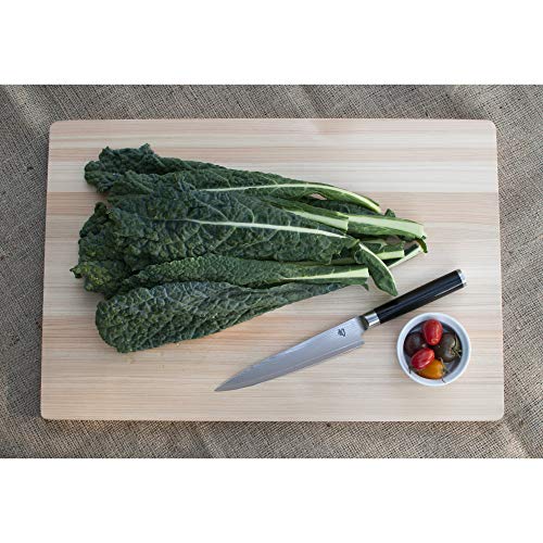 Shun Classic Utility Knife & Kai PRO Shears