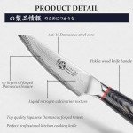 MITSUMOTO SAKARI 4" Japanese Paring Knife: AUS-10 Damascus