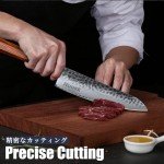 Professional 8-Inch Japanese Gyuto Chef Knife