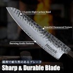 Professional 8-Inch Japanese Gyuto Chef Knife
