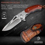 Lionex 7-Inch Damascus Santoku Chef Knife