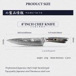 Mitsumoto Sakari 8" Japanese Gyuto Chef Knife