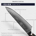 Mitsumoto Sakari 8" Japanese Gyuto Chef Knife