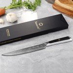 Sunnecko 8-Inch Damascus Steel Carving Knife