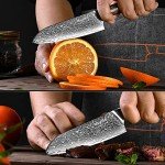 Aisyoko 5" Santoku Knife - VG-10 Damascus Steel