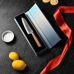 Aisyoko 5" Santoku Knife - VG-10 Damascus Steel