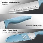 Dsmile 7-Inch Japanese Chef's Knife Set