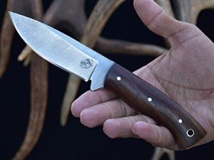 Damascus Steel Bushcraft Knife with Rosewood Handle