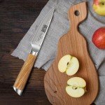 HOSHANHO 3.75" Japanese Paring Knife – Damascus Steel