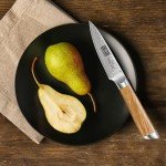 HOSHANHO 3.75" Japanese Paring Knife – Damascus Steel