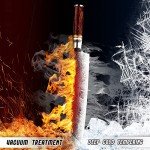 FANTECK 9.5-Inch Kiritsuke Damascus Chef Knife