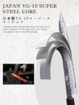 HOSHANHO 9.6" VG10 Japanese Sushi Knife