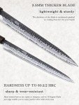 HOSHANHO 9.6" VG10 Japanese Sushi Knife