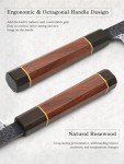 HOSHANHO 9.6" VG10 Japanese Sushi Knife