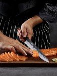 HOSHANHO 9.6" VG10 Japanese Sushi Knife