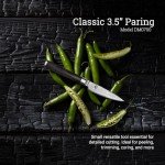 Precision Japanese Multicoloured Steel Knife