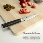 Precision Japanese Multicoloured Steel Knife