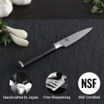 Precision Japanese Multicoloured Steel Knife