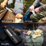 Damascus Steel Japanese Samurai Tanto Knife