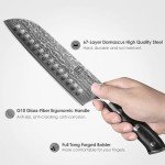 Damascus Santoku Knife - 7 Inch VG-10 Sharpness