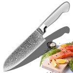 Handmade VG10 Damascus Kitchen Knife, 67 Layers