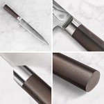 Cangshan HAKU 8-Inch Sashimi Knife - Damascus Steel