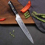 TURWHO Professional Sashimi Knives 8 Inch - Slicing Knife Classic Damascus Japanese VG-10 Steel Chef Knife