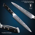 TURWHO Professional Sashimi Knives 8 Inch - Slicing Knife Classic Damascus Japanese VG-10 Steel Chef Knife