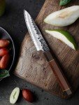 HOSHANHO 3.75" VG10 Japanese Paring Knife
