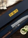 8-Inch VG-10 Japanese Gyuto Chef Knife