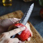 HEZHEN PM8S Damascus Utility Knife - Triple Layer Steel