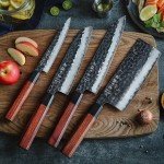 Hezhen PM8S 4-Piece VG10 Chef Knife Set