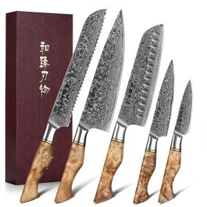 HEZHEN Damascus Steel Chef Knife Set