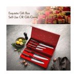HEZHEN 5-Piece Precision Japanese Chef Knife Set