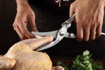 Heavy Duty Stainless Steel Poultry Shears