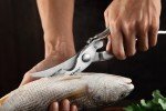 Heavy Duty Stainless Steel Poultry Shears