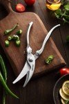 Heavy Duty Stainless Steel Poultry Shears