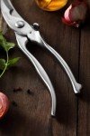 Heavy Duty Stainless Steel Poultry Shears