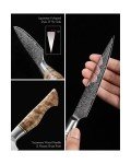 Hezhen Damascus Steel Japanese Knife Set