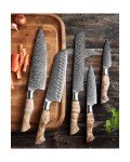 Hezhen Damascus Steel Japanese Knife Set